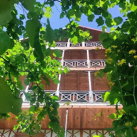 Fig Tree Houses Villa Trabzon